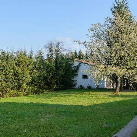 Apartmán Mi12 Eger Exteriér fotografie