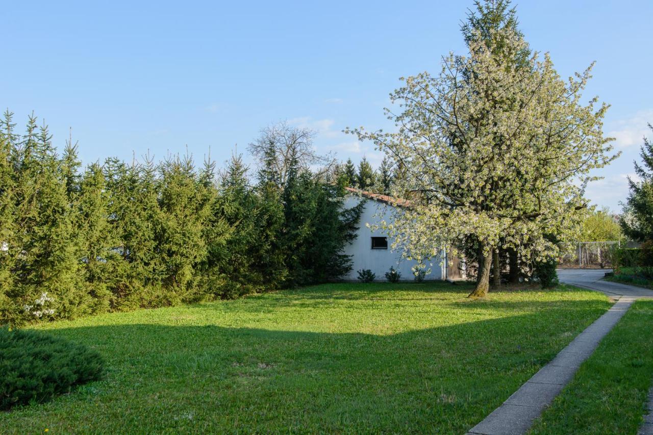 Apartmán Mi12 Eger Exteriér fotografie